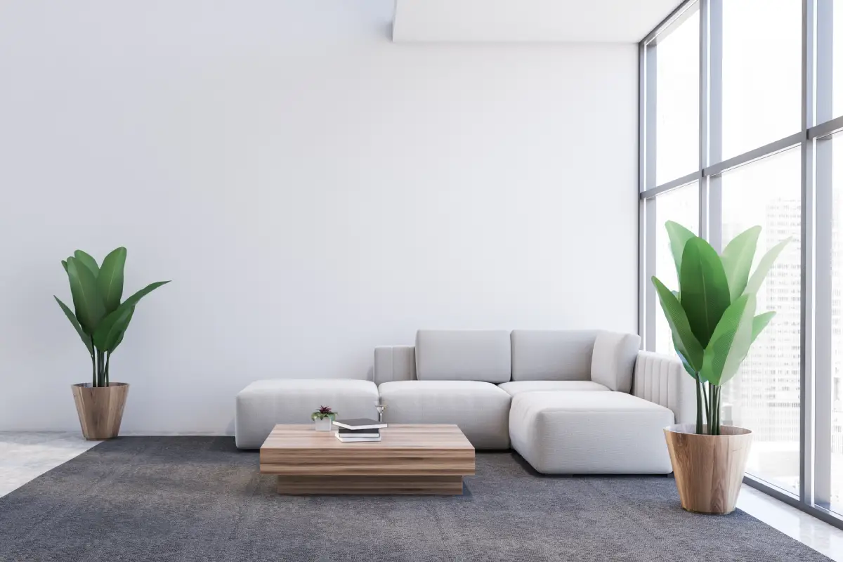 Real Rent Numbers Don't Always Mean Real Profit in Albuquerque